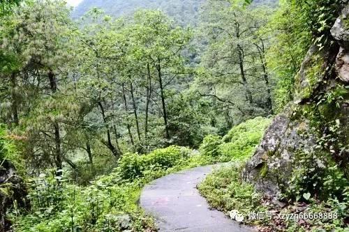 它对我爱道理不道理把我弄丢了就后会无期的伤感句子游戏画面